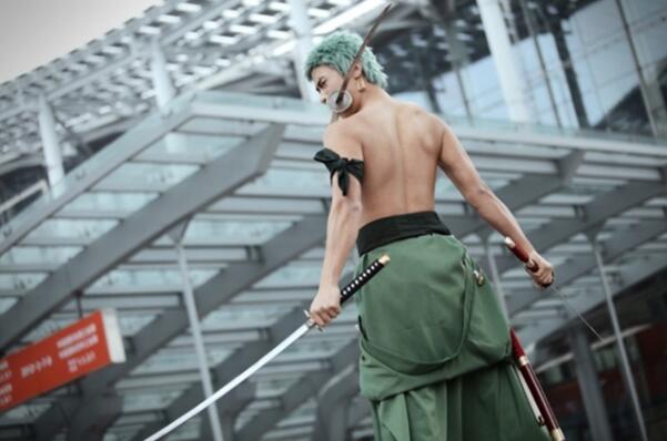 完美对战平台|今日香菇多少钱一斤？2019年香菇主产地最新价格行情